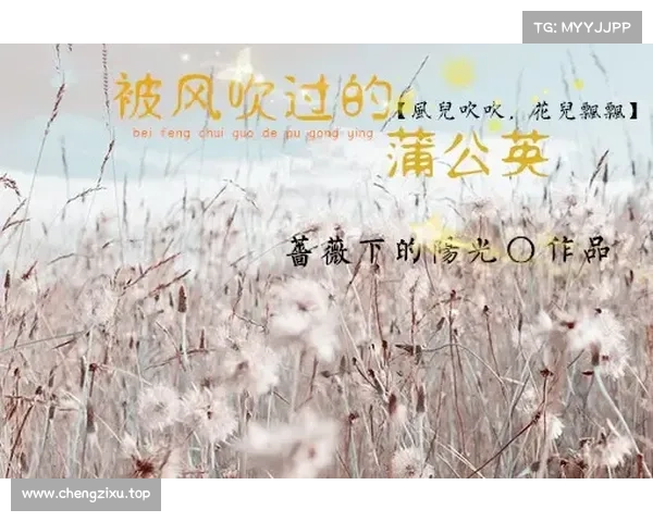 逐风而翔：蒲公英攻略指南